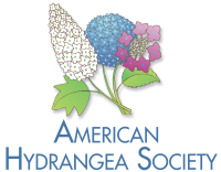 American Hydrangea Society