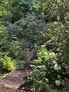 AHS 31st Annual Garden Tour