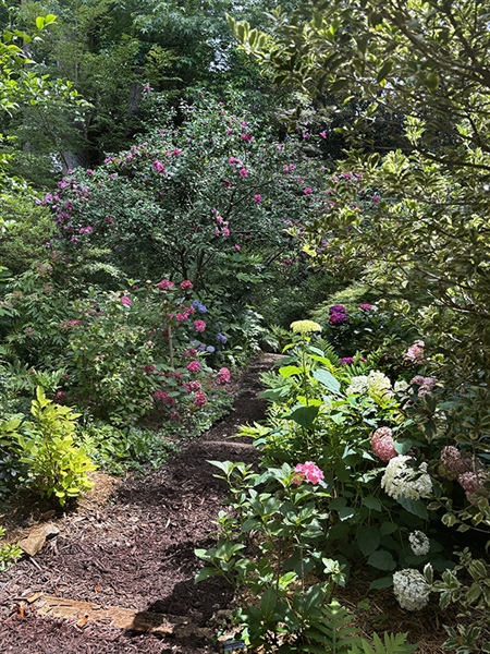AHS 31st Annual Garden Tour